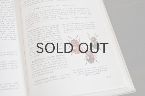 画像6: チェコ・古い昆虫図鑑 1973年