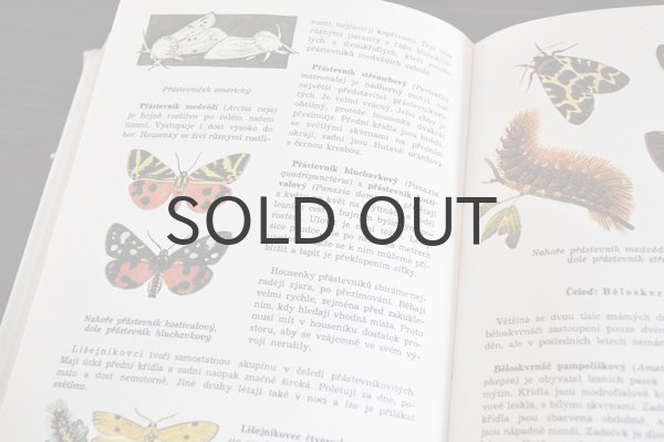 画像8: チェコ・古い昆虫図鑑 1973年