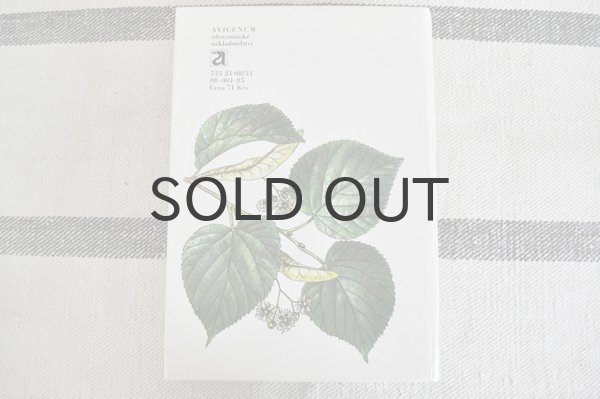 画像9: チェコ・Naše rostliny vlékařství　薬草花　1981