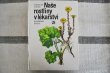 画像1: チェコ・Naše rostliny vlékařství　薬草花　1981