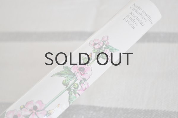 画像2: チェコ・Naše rostliny vlékařství　薬草花　1981