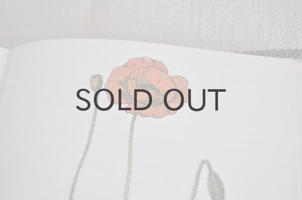 画像7: チェコ・Naše rostliny vlékařství　薬草花　1981