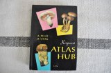 画像: チェコ・きのこ図鑑 ATLAS HUB/1962年
