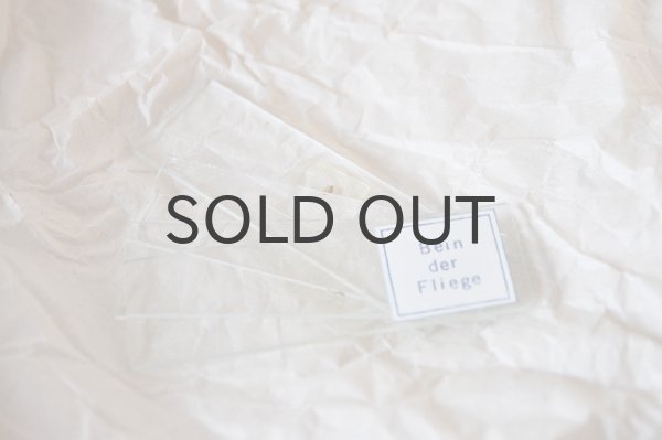 画像6: ドイツ・西ドイツ時代 ヴィンテージ 顕微鏡/箱付