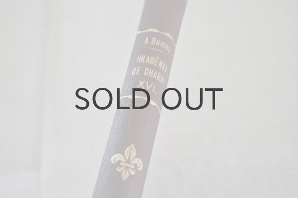 画像7: チェコ・古本 HRABENKA DE CHARNY/XVI　1925年