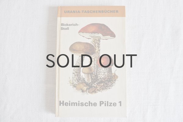 画像1: ドイツ・DDR（東ドイツ時代）ヴィンテージきのこ図鑑/Heimische Pilze1　1965年