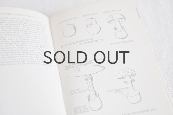 画像6: ドイツ・DDR（東ドイツ時代）ヴィンテージきのこ図鑑/Heimische Pilze1　1965年