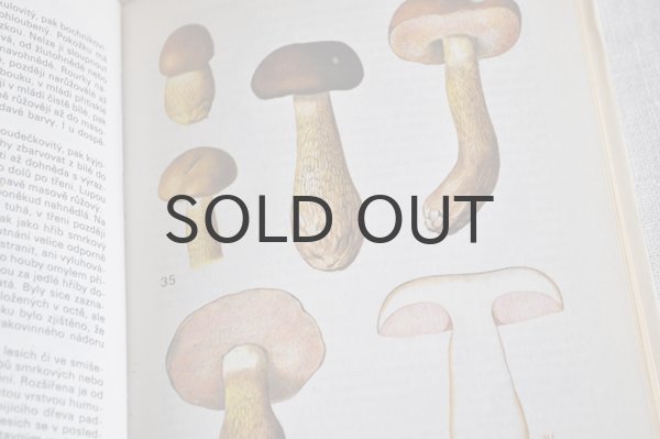 画像3: チェコ・ヴィンテージ きのこ図鑑/KAPESNÍ ATLAS HUB 1986年