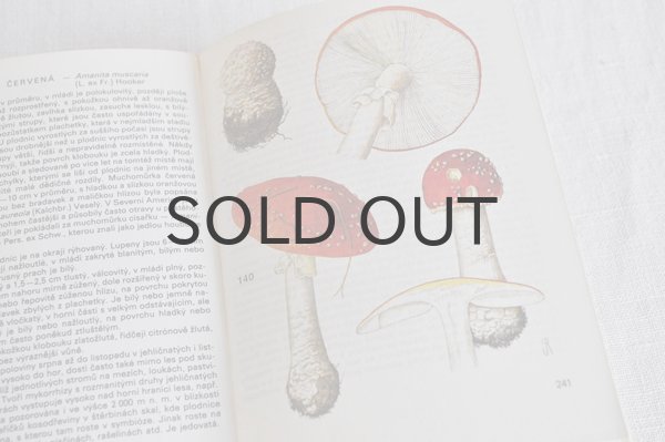 画像4: チェコ・ヴィンテージ きのこ図鑑/KAPESNÍ ATLAS HUB 1986年