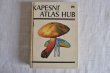 画像1: チェコ・ヴィンテージ きのこ図鑑/KAPESNÍ ATLAS HUB 1986年