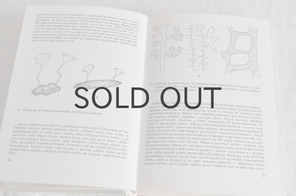 画像2: チェコ・ヴィンテージ きのこ図鑑/KAPESNÍ ATLAS HUB 1986年