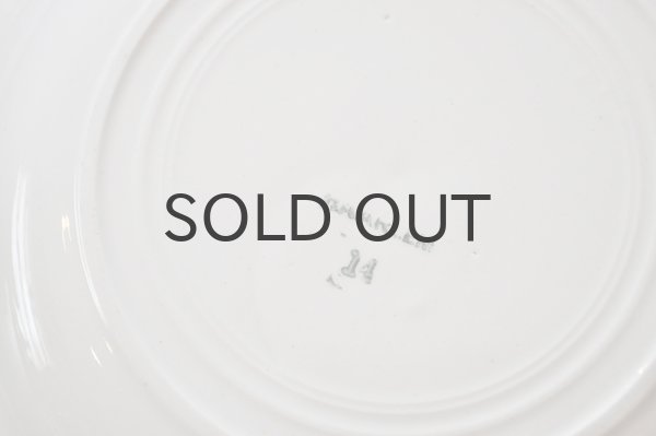 画像5: オランダ・ヴィンテージ HAARLEM スーププレート/ステンシルブルーチューリップ