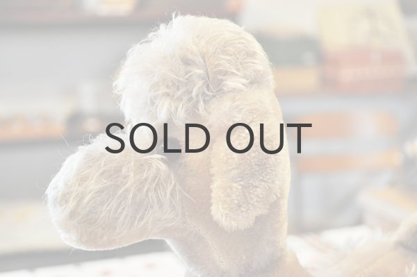 画像4: ドイツ・ヴィンテージ プードルのぬいぐるみ/シルバーベージュ