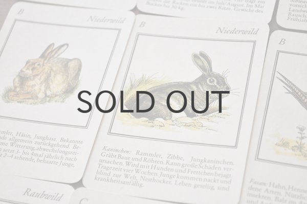 画像4: ドイツ・ヴィンテージ カード/Weidmanns Heil！/動物