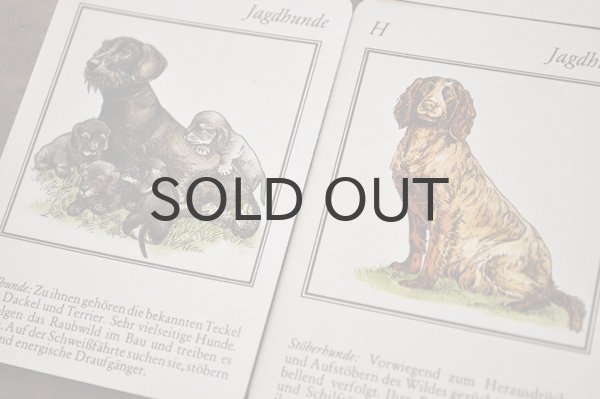 画像9: ドイツ・ヴィンテージ カード/Weidmanns Heil！/動物