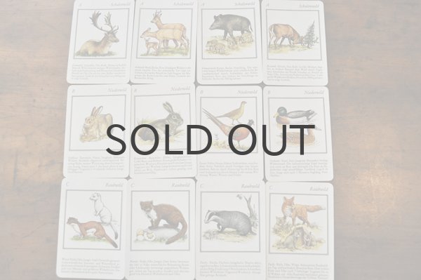 画像2: ドイツ・ヴィンテージ カード/Weidmanns Heil！/動物