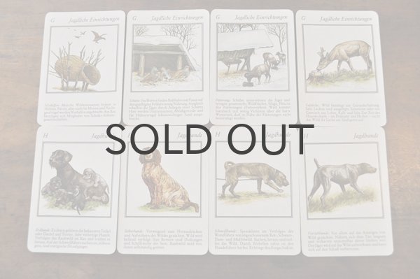 画像8: ドイツ・ヴィンテージ カード/Weidmanns Heil！/動物