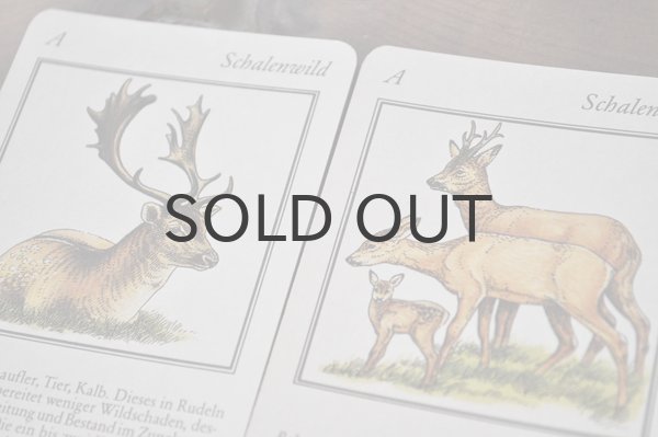 画像3: ドイツ・ヴィンテージ カード/Weidmanns Heil！/動物