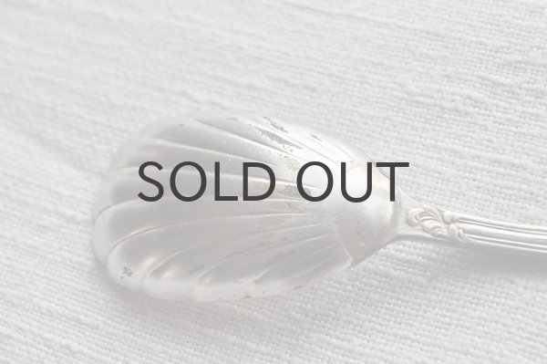 画像4: ドイツ・アンティーク シルバープレート シェルスプーン/デザート