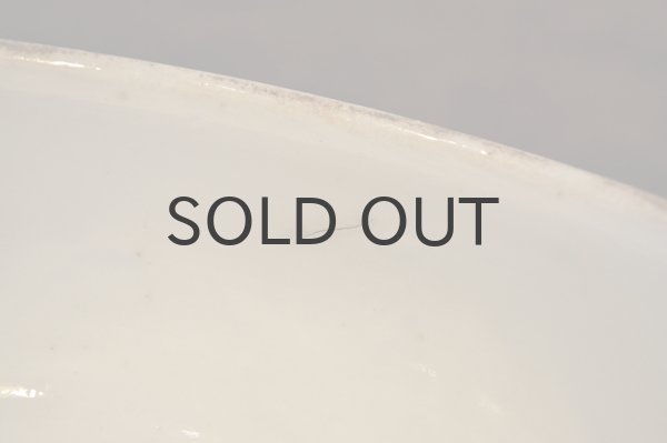 画像5: フランス・アンティーク GIENジアン窯　スーピエール/L