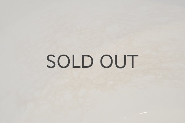 画像4: フランス・アンティーク ディゴワンサルグミンヌ スーピエール/XL