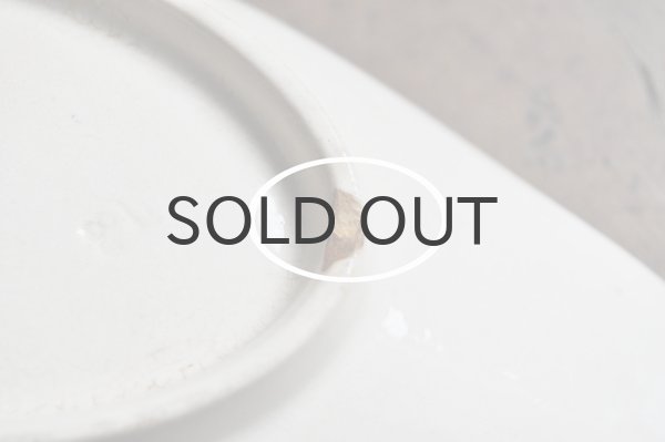 画像5: フランス・アンティーク SARREGUEMINES ALGER ラヴィエ