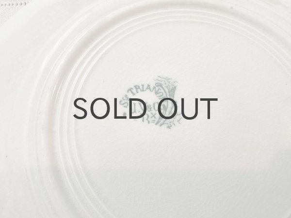 画像6: フランス・アンティーク サンタマン　トリアノンシリーズプレート/20.5cm