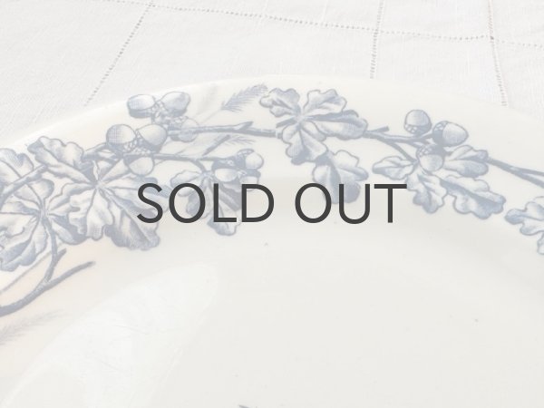 画像3: フランス・アンティーク クレールフォンテーヌCHASSEプレート/22.5cm