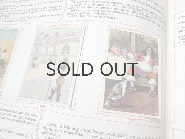 画像6: ベルギー・アンティーク　クロモカードコレクションブック/シャルルペローの童話