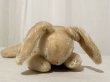 画像1: ドイツ・ヴィンテージ シュタイフ　眠りうさぎ　Floppy Hansi