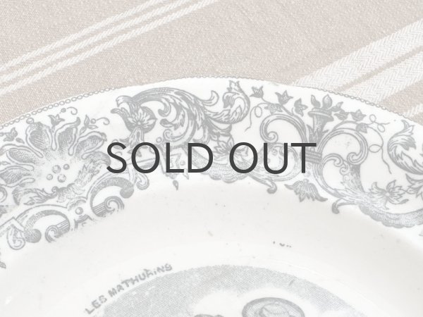 画像3: フランス・GIEN（ジアン）絵皿/グリザイユ/トーキングプレート