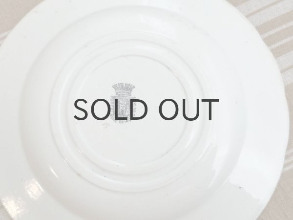 画像4: フランス・GIEN（ジアン）絵皿/グリザイユ/トーキングプレート