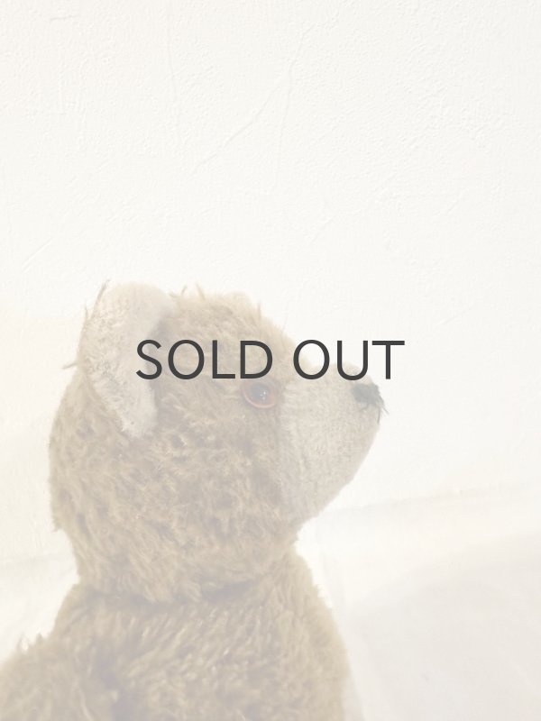 画像6: ドイツ・ヴィンテージ テディベア　まんまる顔とまんまる耳　30cm