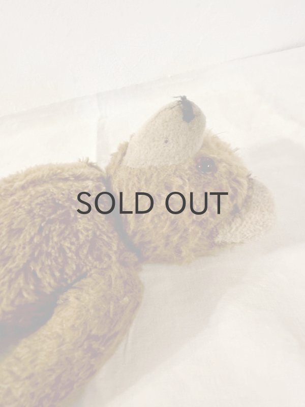 画像5: ドイツ・ヴィンテージ テディベア　まんまる顔とまんまる耳　30cm