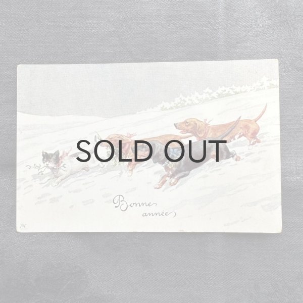 画像1: フランス・ヴィンテージポストカード/犬と猫の追いかけっこ