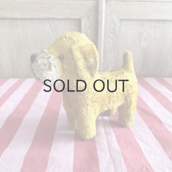 画像2: フランス・ヴィンテージ  黄色いわんこ　グラスアイ　