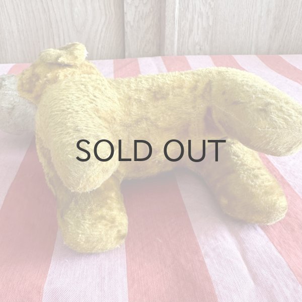 画像5: フランス・ヴィンテージ  黄色いわんこ　グラスアイ　