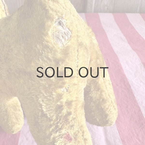 画像6: フランス・ヴィンテージ  黄色いわんこ　グラスアイ　