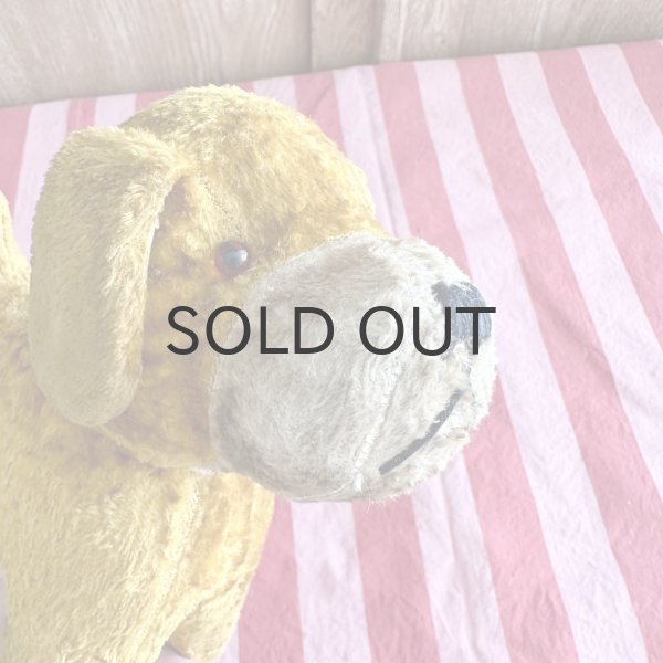 画像10: フランス・ヴィンテージ  黄色いわんこ　グラスアイ　