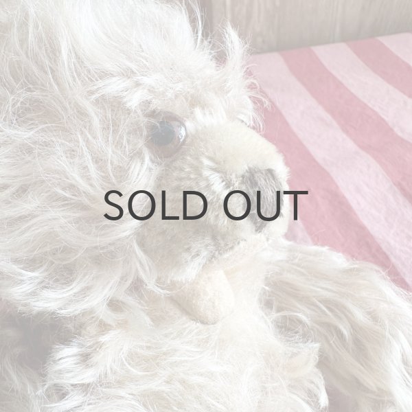 画像8: ドイツ・ヴィンテージ ゾッティタイプ　赤ちゃんみたいなベア　26cm