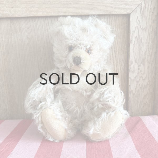 画像1: ドイツ・ヴィンテージ ゾッティタイプ　赤ちゃんみたいなベア　26cm