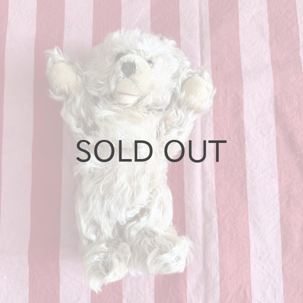 画像4: ドイツ・ヴィンテージ ゾッティタイプ　赤ちゃんみたいなベア　26cm