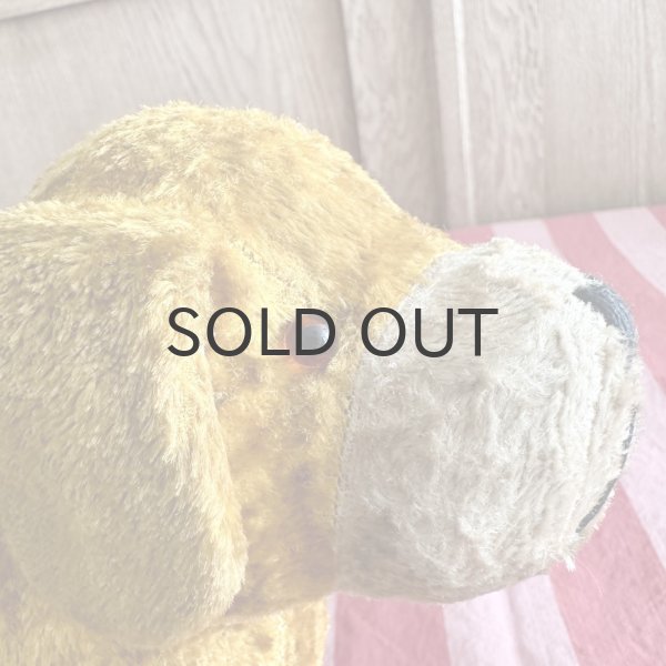 画像8: フランス・ヴィンテージ  黄色いわんこ　グラスアイ　