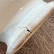 画像5: ベルギー・BOCHボッホ　小さめカフェオレボウル