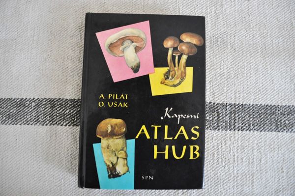画像1: チェコ・きのこ図鑑 ATLAS HUB/1962年