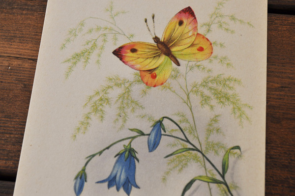 画像2: チェコ・ヴィンテージポストカード/未使用/蝶と花