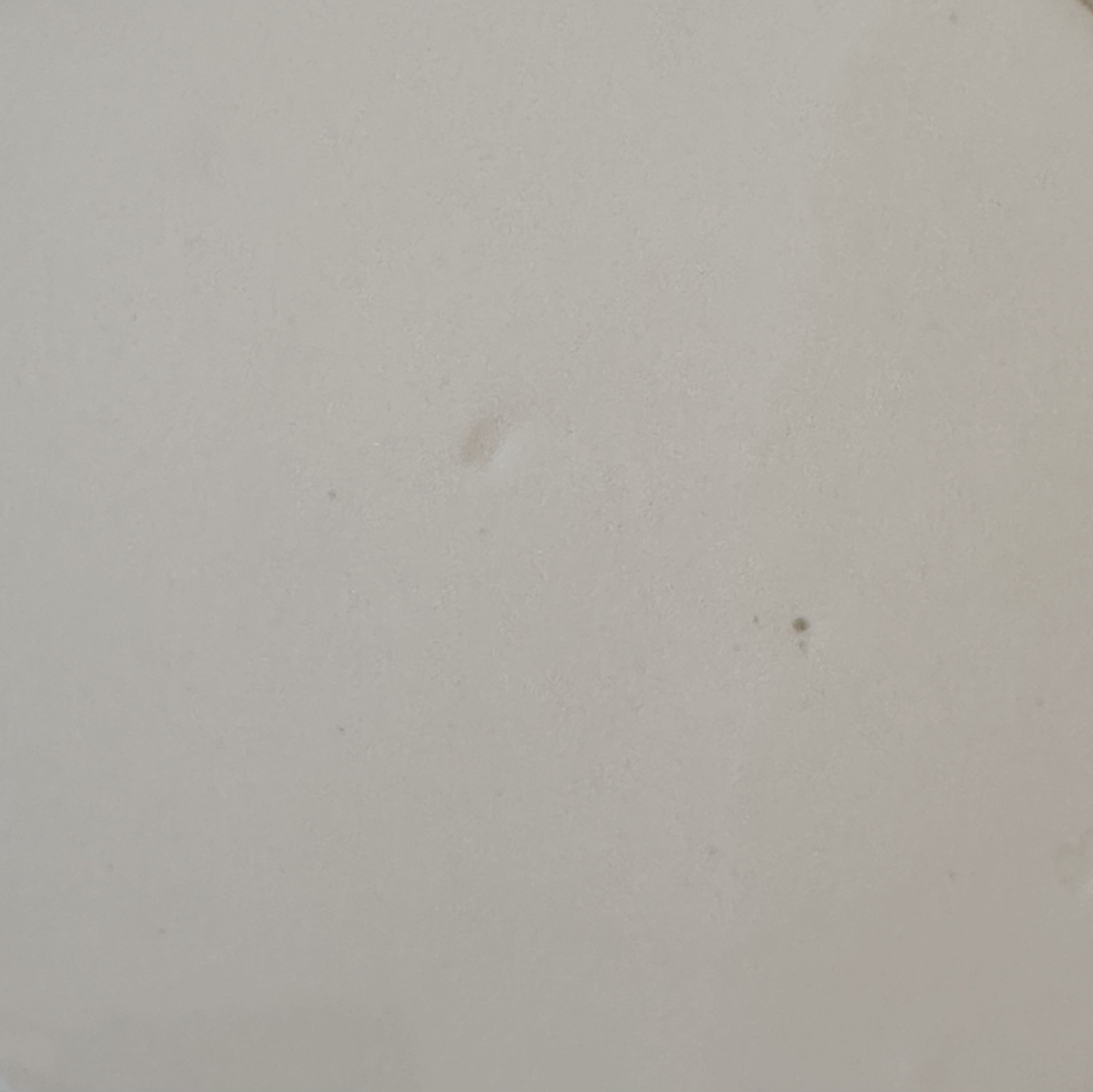 画像7: 【送料無料】フランス・アンティーク Creil et Montereau　クレイユモントロー オクトゴナル深皿